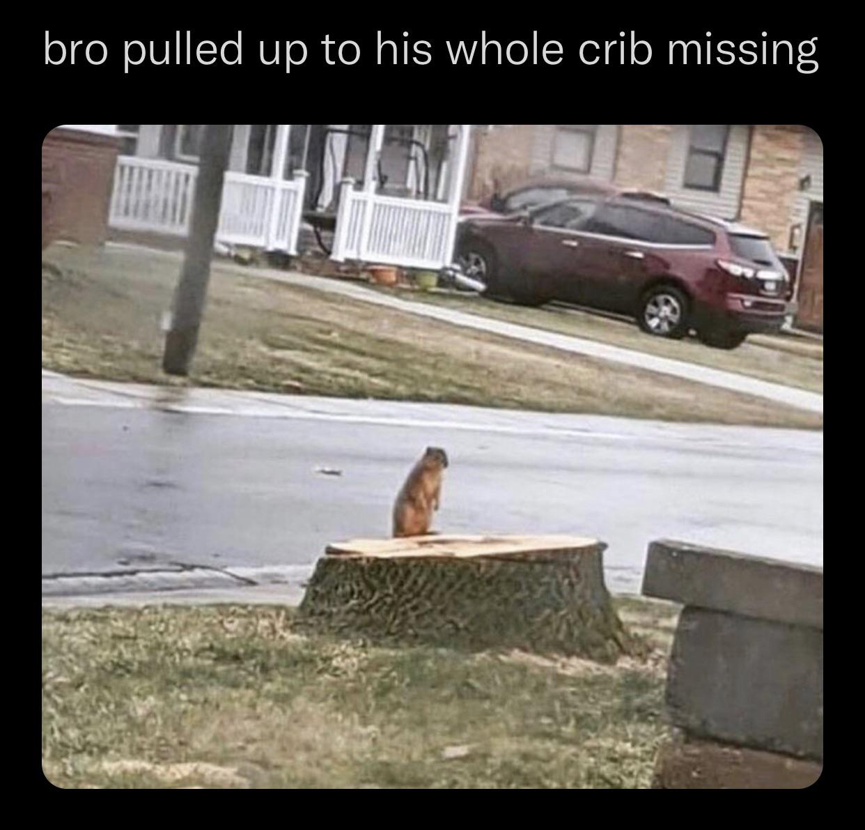 funny memes - dank memes - bro pulled up to his whole crib missing - bro pulled up to his whole crib missing