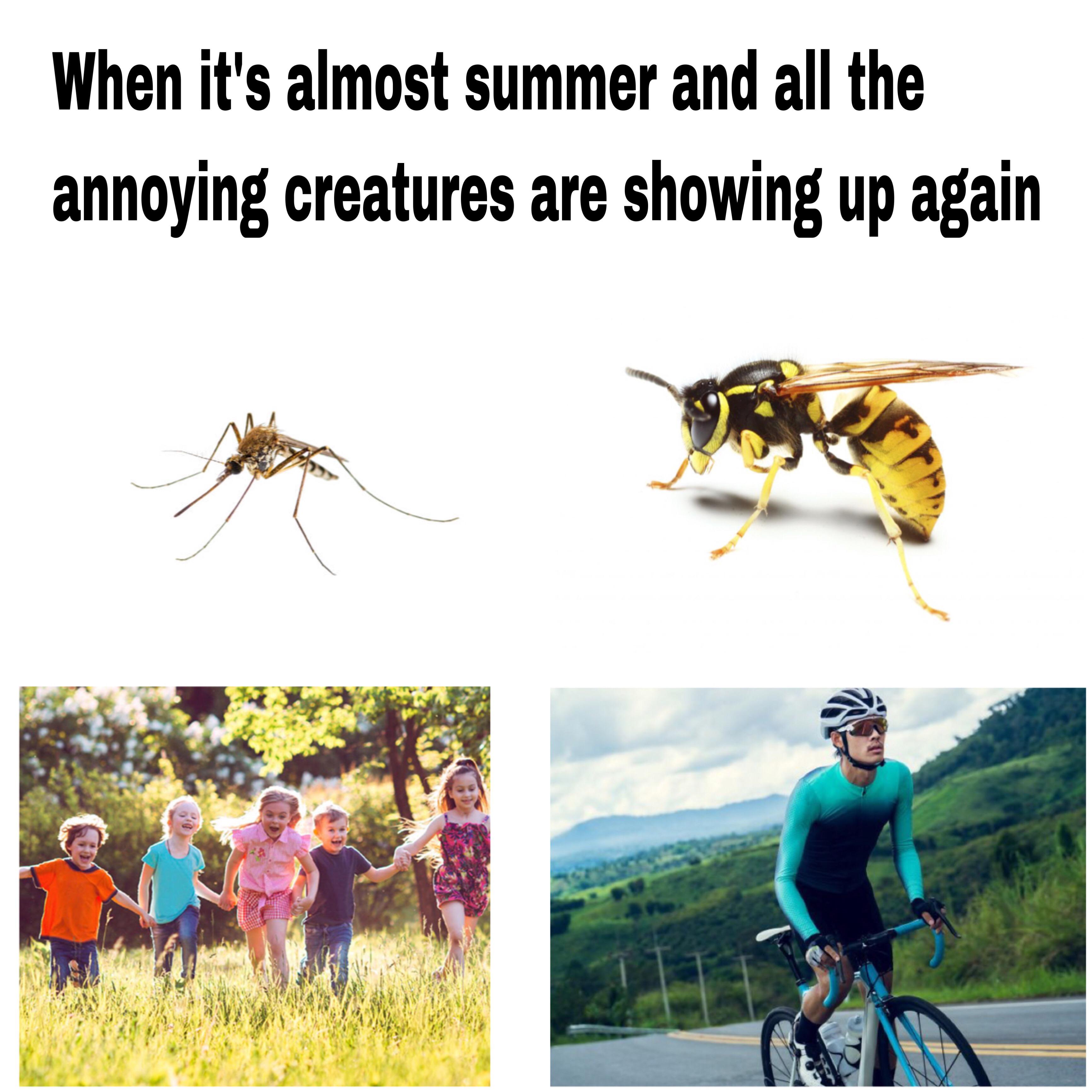 funny memes - dank memes - fauna - When it's almost summer and all the annoying creatures are showing up again