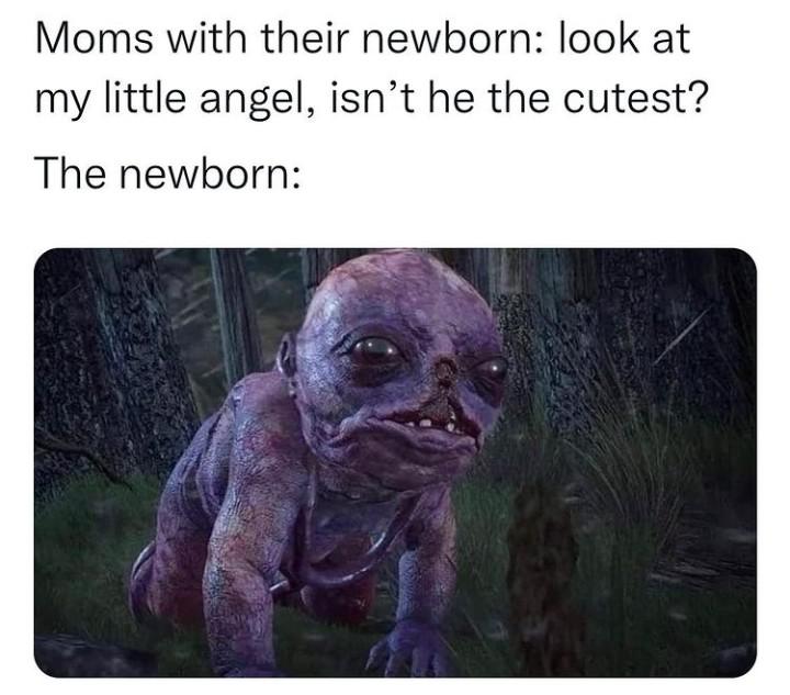 funny memes - dank memes - pug owners meme - Moms with their newborn look at my little angel, isn't he the cutest? The newborn