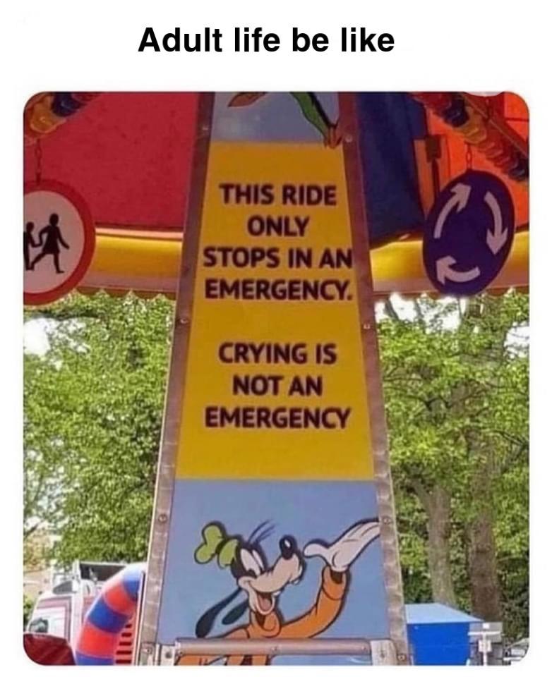 funny memes - dank memes - ride only stops in an emergency crying - Adult life be This Ride Only Stops In An Emergency. Crying Is Not An Emergency