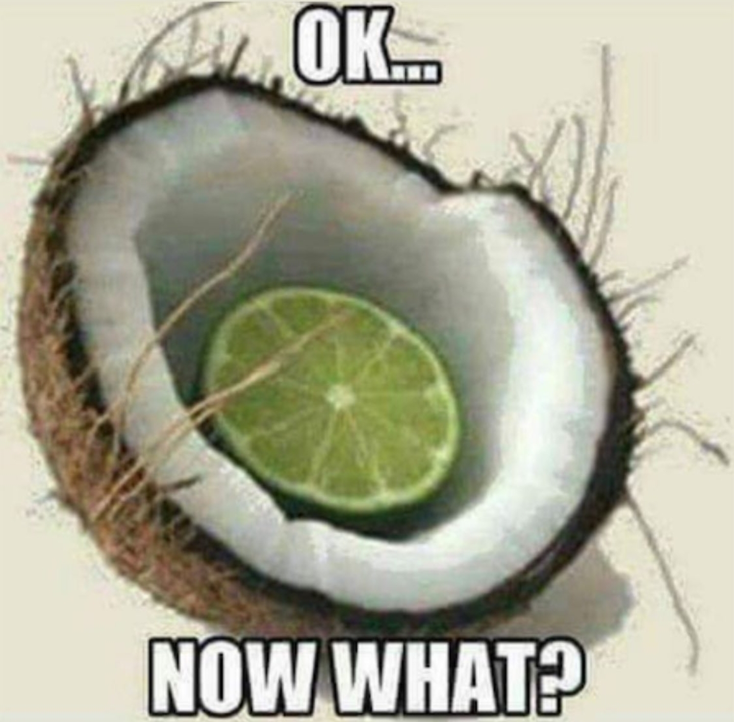 funny memes - dank memes - lime in a coconut - Ok.. Now What