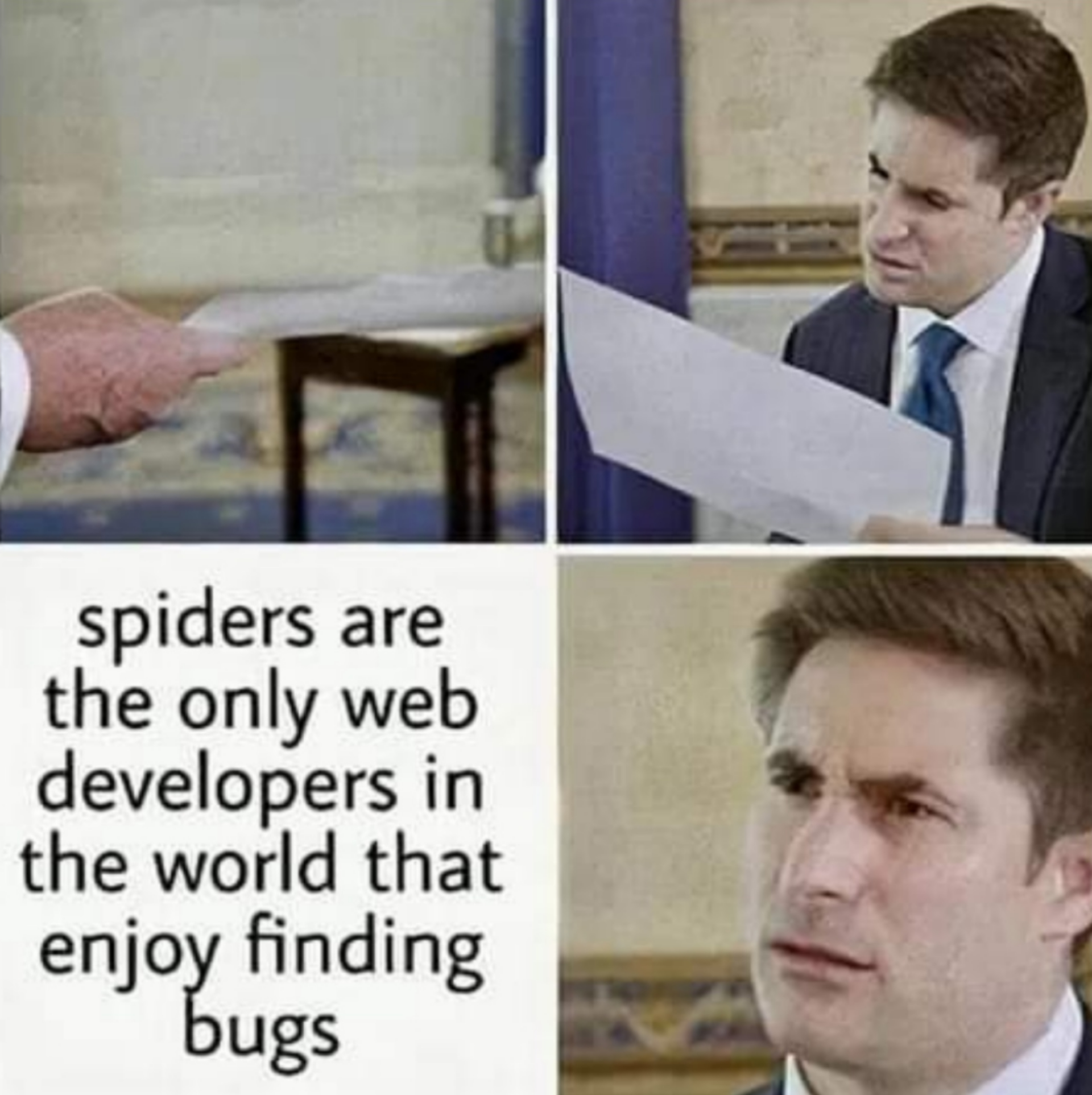 funny memes - dank memes - can squirrels survive terminal velocity - spiders are the only web developers in the world that enjoy finding bugs