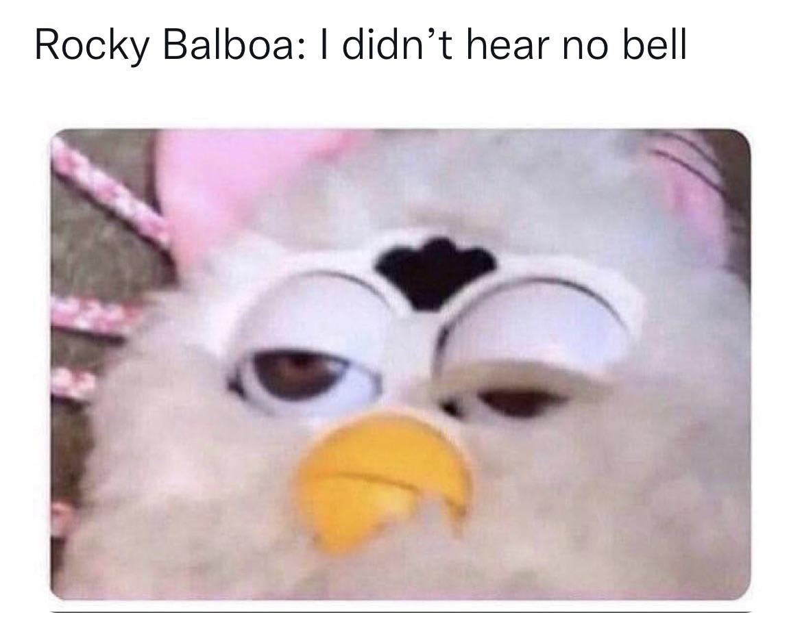 funny memes - dank memes - furby funny - Rocky Balboa I didn't hear no bell