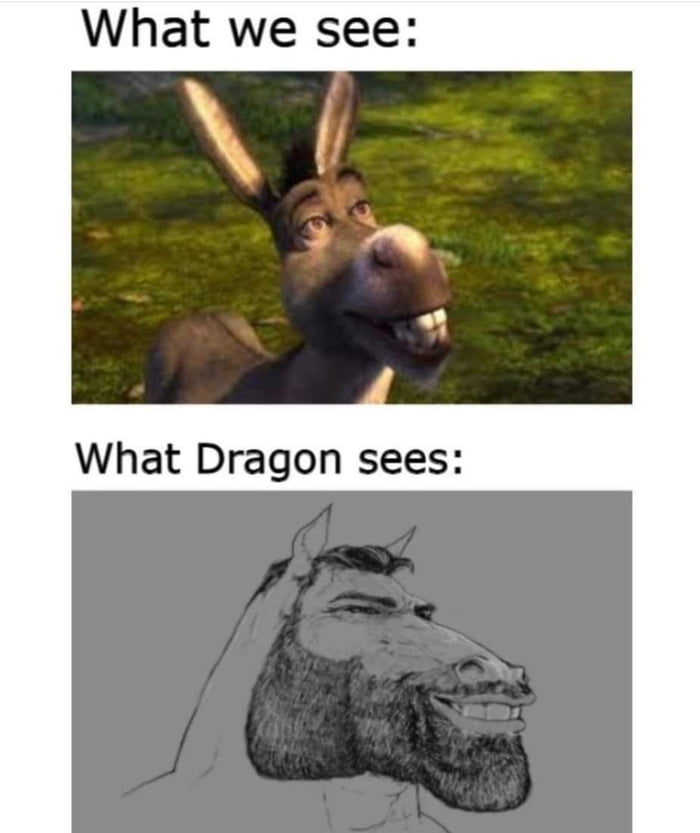 funny memes - dank memes - chad donkey - What we see What Dragon sees