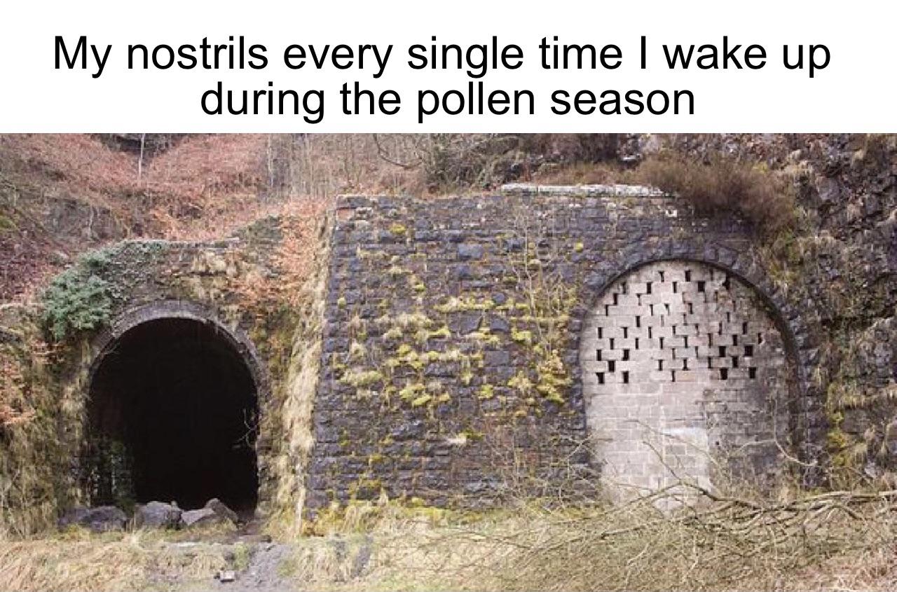 dank memes - - - My nostrils every single time I wake up during the pollen season