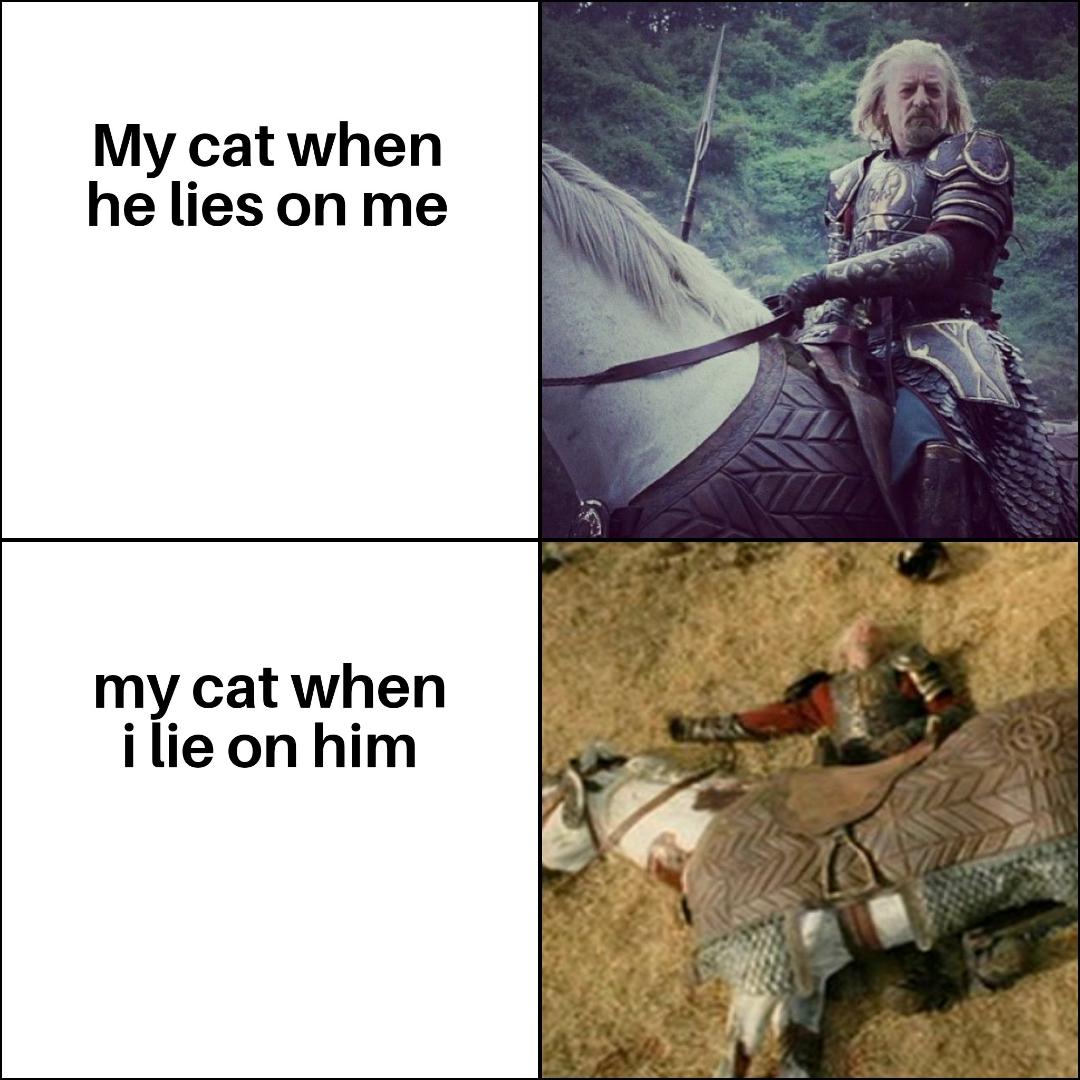dank memes - fauna - My cat when he lies on me my cat when i lie on him