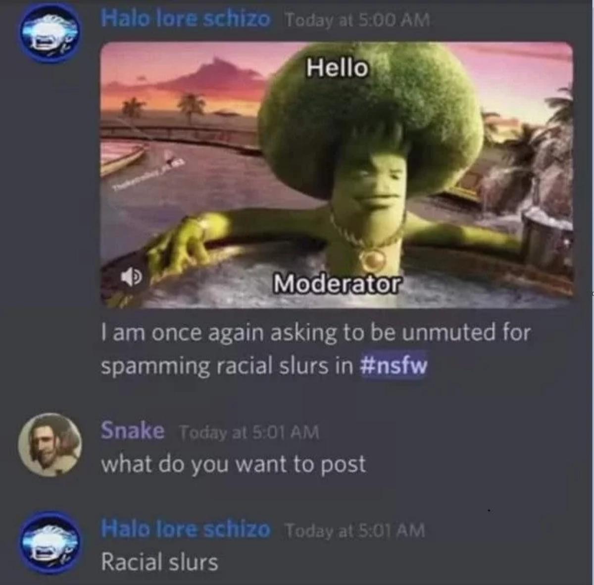 dank memes - gangster broccoli - Halo lore schizo Today at Hello Moderator I am once again asking to be unmuted for spamming racial slurs in Snake Today at what do you want to post Halo lore schizo Today at Racial slurs