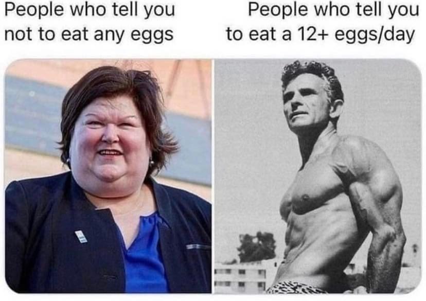 people that tell you not to eat eggs meme - People who tell you not to eat any eggs People who tell you to eat a 12 eggsday