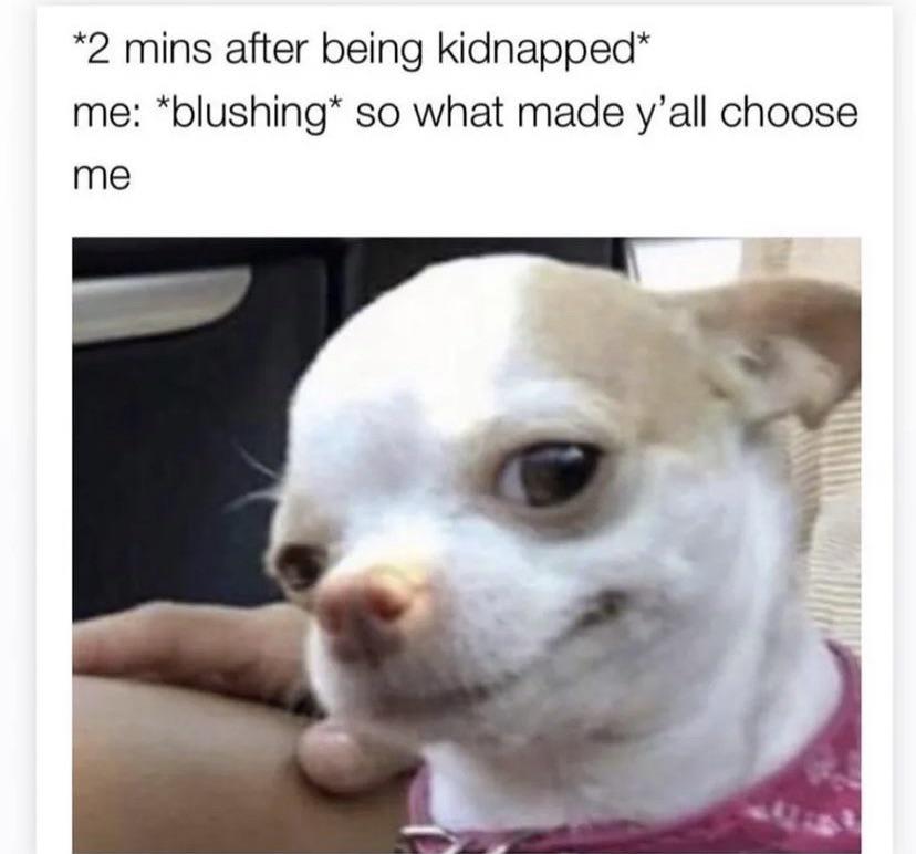 dank memes - funny memes - so made you choose me meme - 2 mins after being kidnapped me blushing so what made y'all choose me