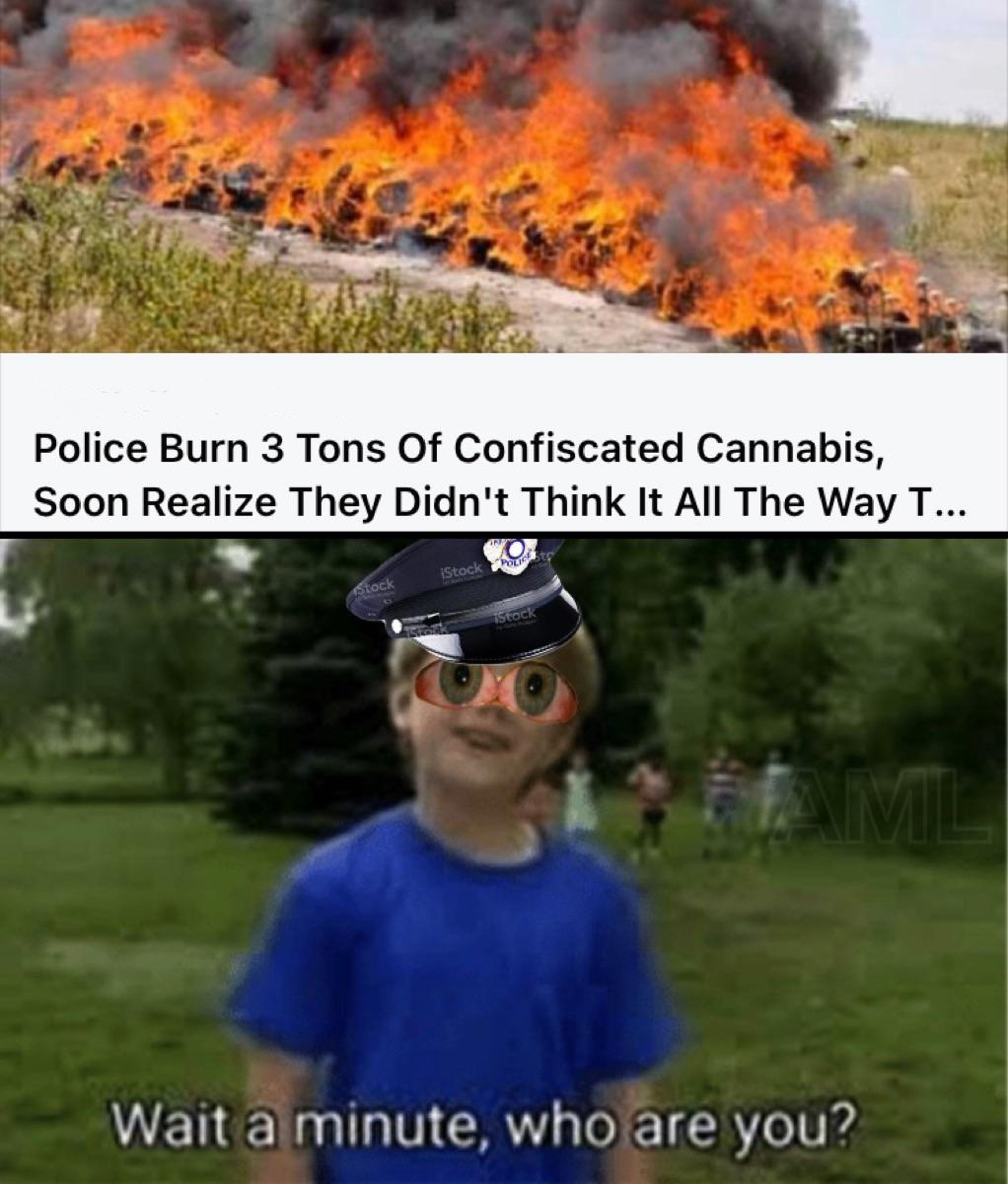 dank memes - funny memes - indonesian police burn weed - Police Burn 3 Tons Of Confiscated Cannabis, Soon Realize They Didn't Think It All The Way T... Stock Foot Stock iStock Iml Wait a minute, who are you?