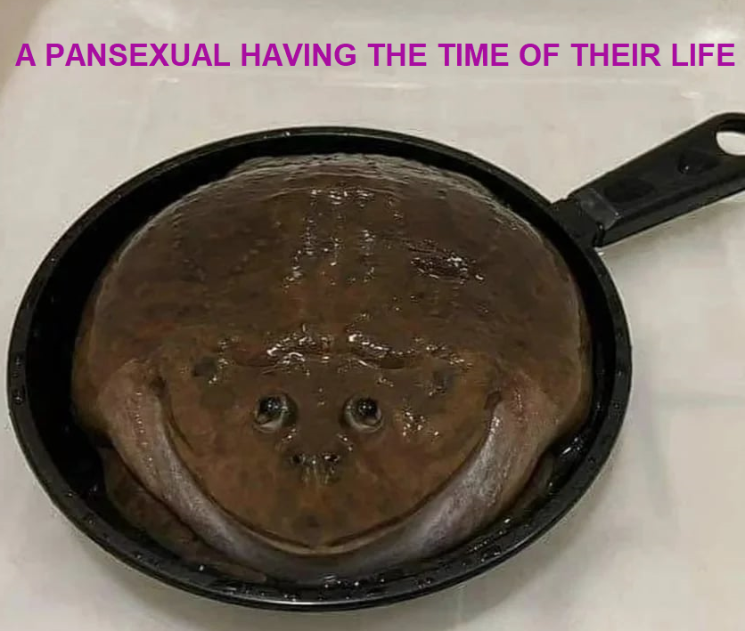 dank memes - funny memes - cookware and bakeware - A Pansexual Having The Time Of Their Life