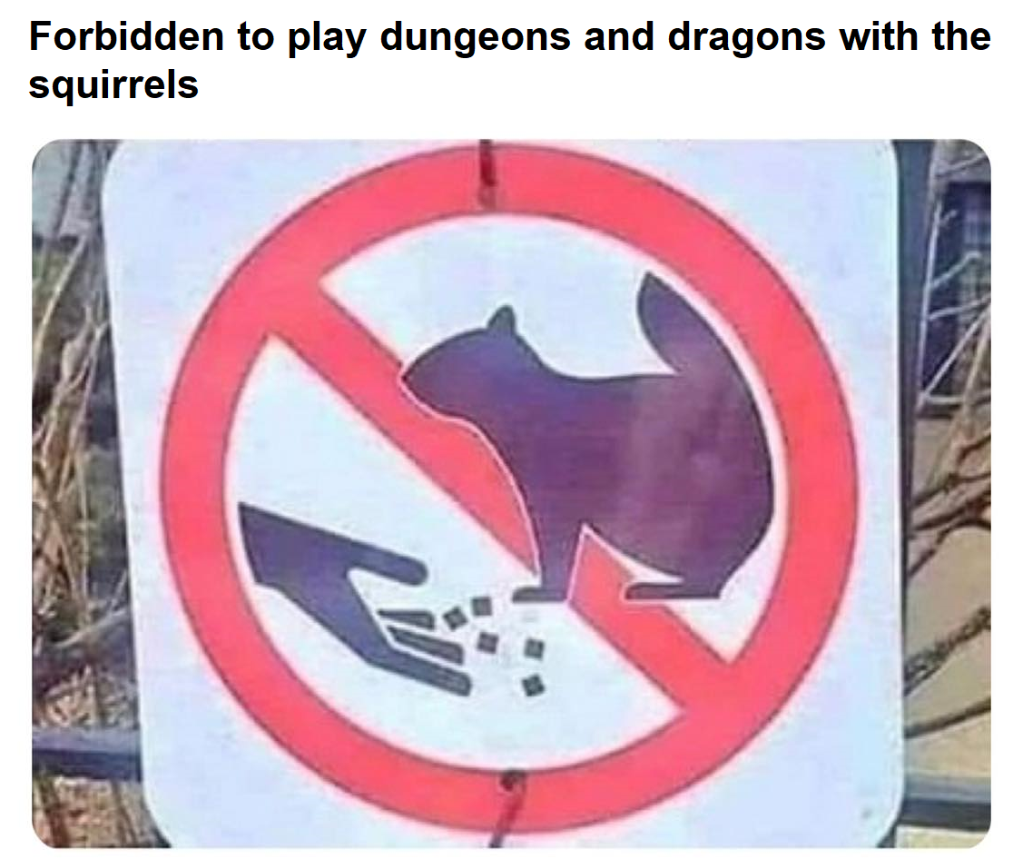 dank memes - funny memes - no playing yahtzee with squirrels - Forbidden to play dungeons and dragons with the squirrels
