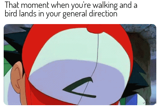 dank memes - cartoon - That moment when you're walking and a bird lands in your general direction Hos Us Eelmw