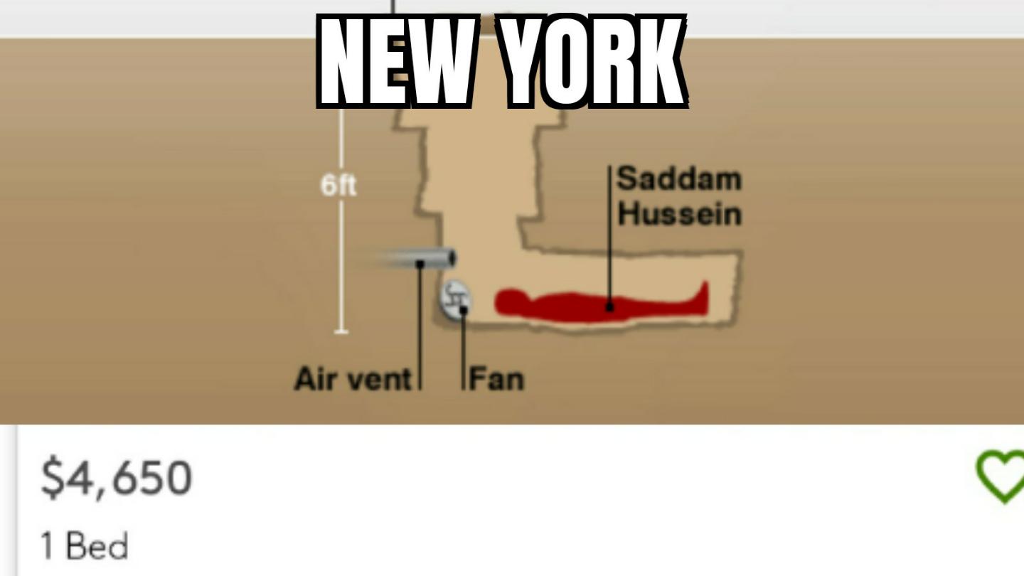 dank memes - cheap - $4,650 1 Bed New York 6ft Air vent Fan Saddam Hussein