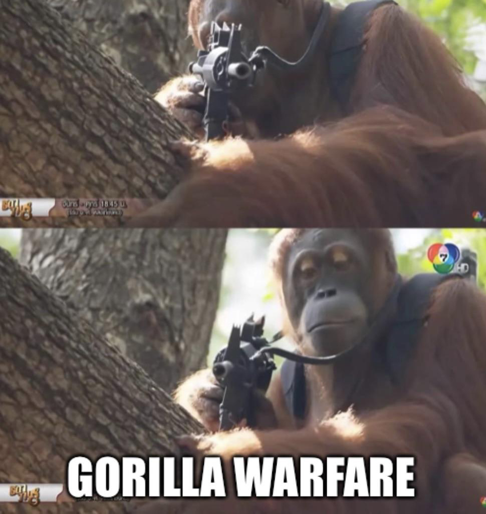 dank memes - photo caption - ound3 18 450 Stor Parad Gorilla Warfare