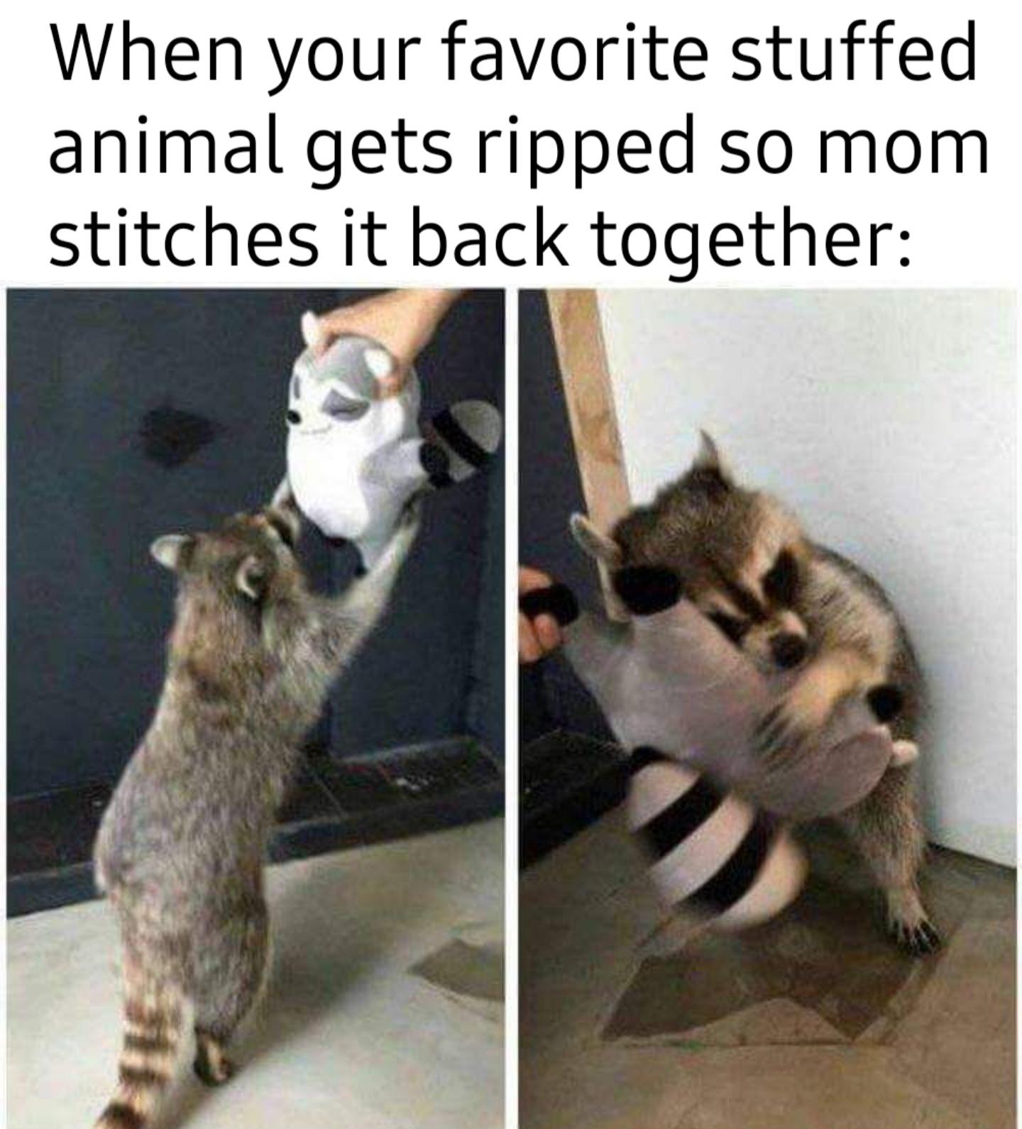 dank memes - cute funny memes - When your favorite stuffed animal gets ripped so mom stitches it back together