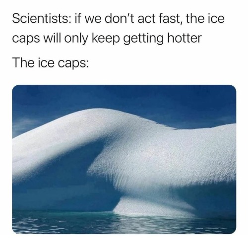 dank memes - water resources - Scientists if we don't act fast, the ice caps will only keep getting hotter The ice caps