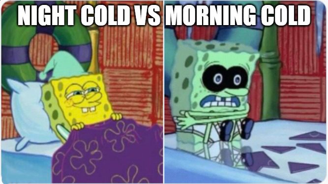 dank memes - night cold vs morning cold - Night Cold Vs Morning Cold