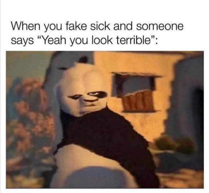 dank memes - funny memes - drunk kung fu panda meme - When you fake sick and someone says "Yeah you look terrible"