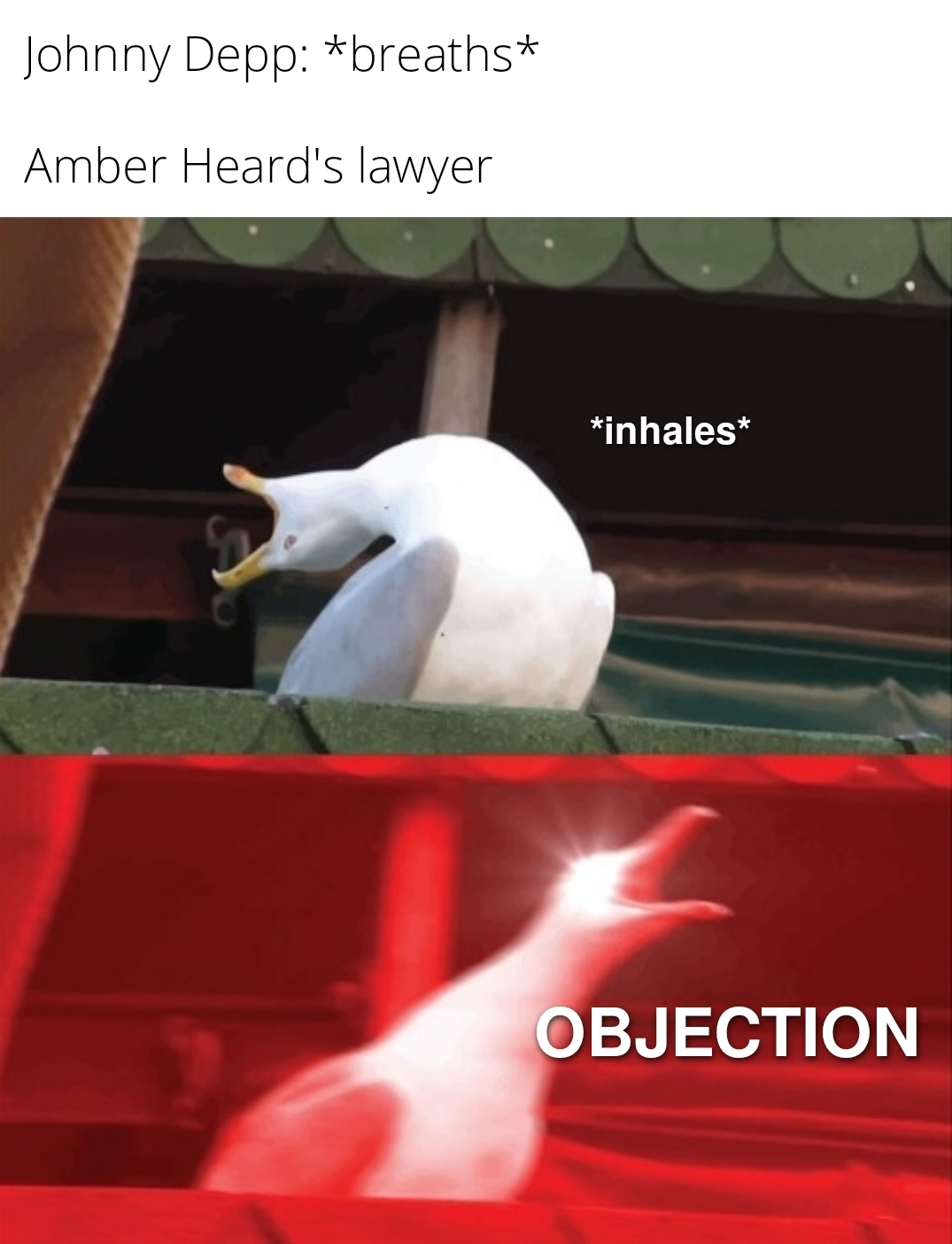 funny memes - dank memes - möwe meme - Johnny Depp breaths Amber Heard's lawyer inhales Objection