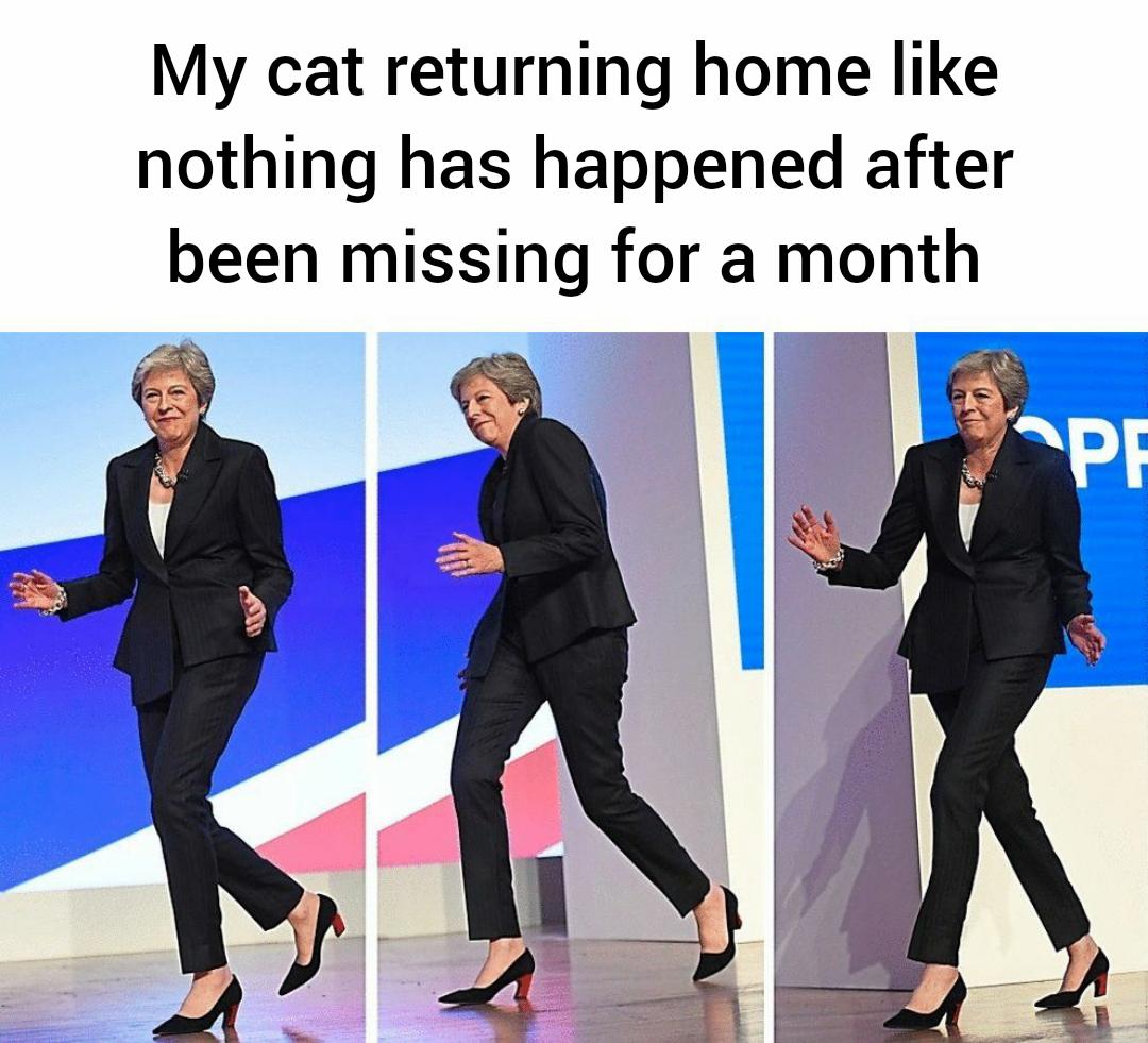 funny memes - dank memes - hallmark movie meme - My cat returning home nothing has happened after been missing for a month a Pe