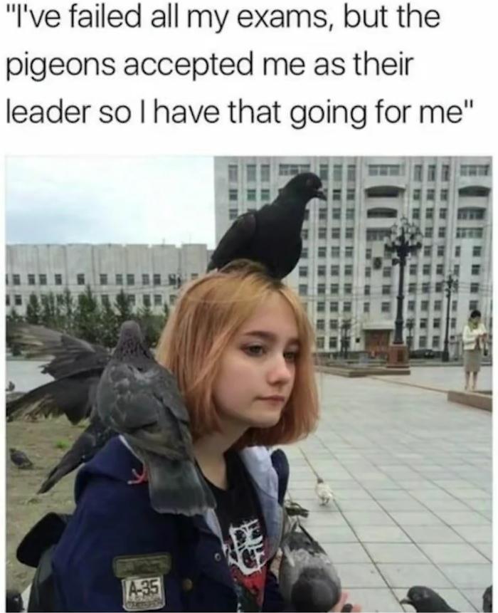 funny memes - dank memes - lenin square - "I've failed all my exams, but the pigeons accepted me as their leader so Thave that going for me" A35
