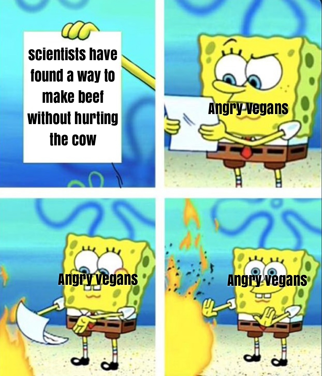 funny memes - dank memes - spongebob burn paper meme - scientists have found a way to make beef without hurting the cow Angry Vegans Hc Angry Vegans Angry vegans