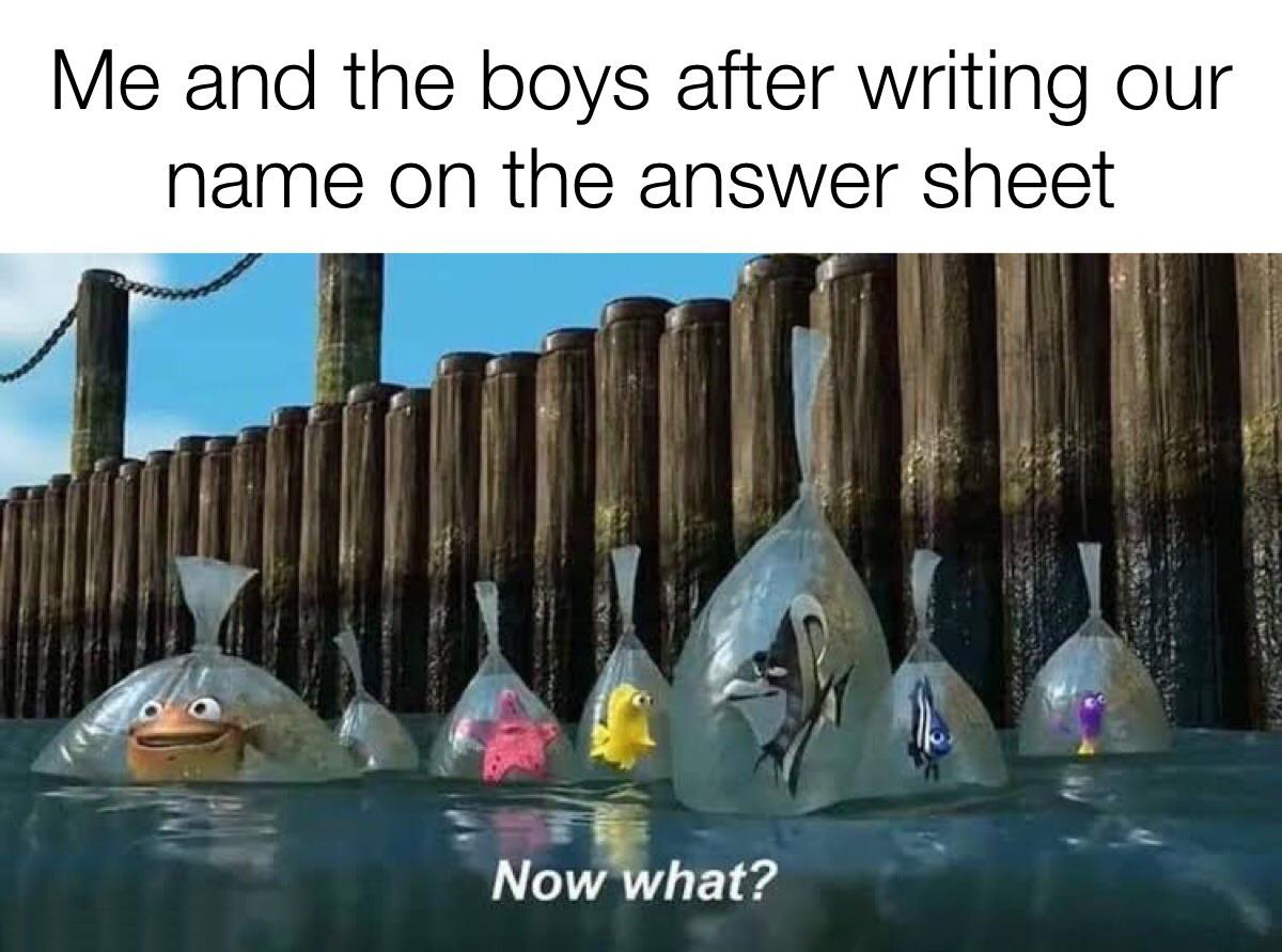 funny memes - dank memes - finding nemo meme - Me and the boys after writing our name on the answer sheet Sk Now what?