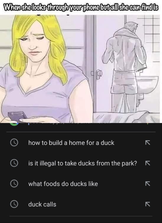 funny memes - dank memes - she is snooping through your phone - When she looks through your phone but all she can find is how to build a home for a duck a K K is it illegal to take ducks from the park? what foods do ducks duck calls