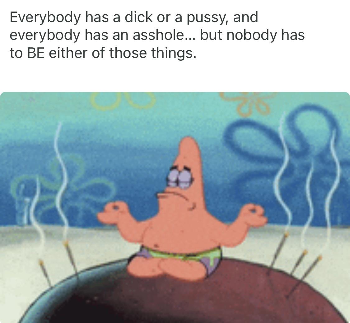 Funny memes - Everybody has a dick or a pussy, and everybody has an asshole... but nobody has to Be either of those things.
