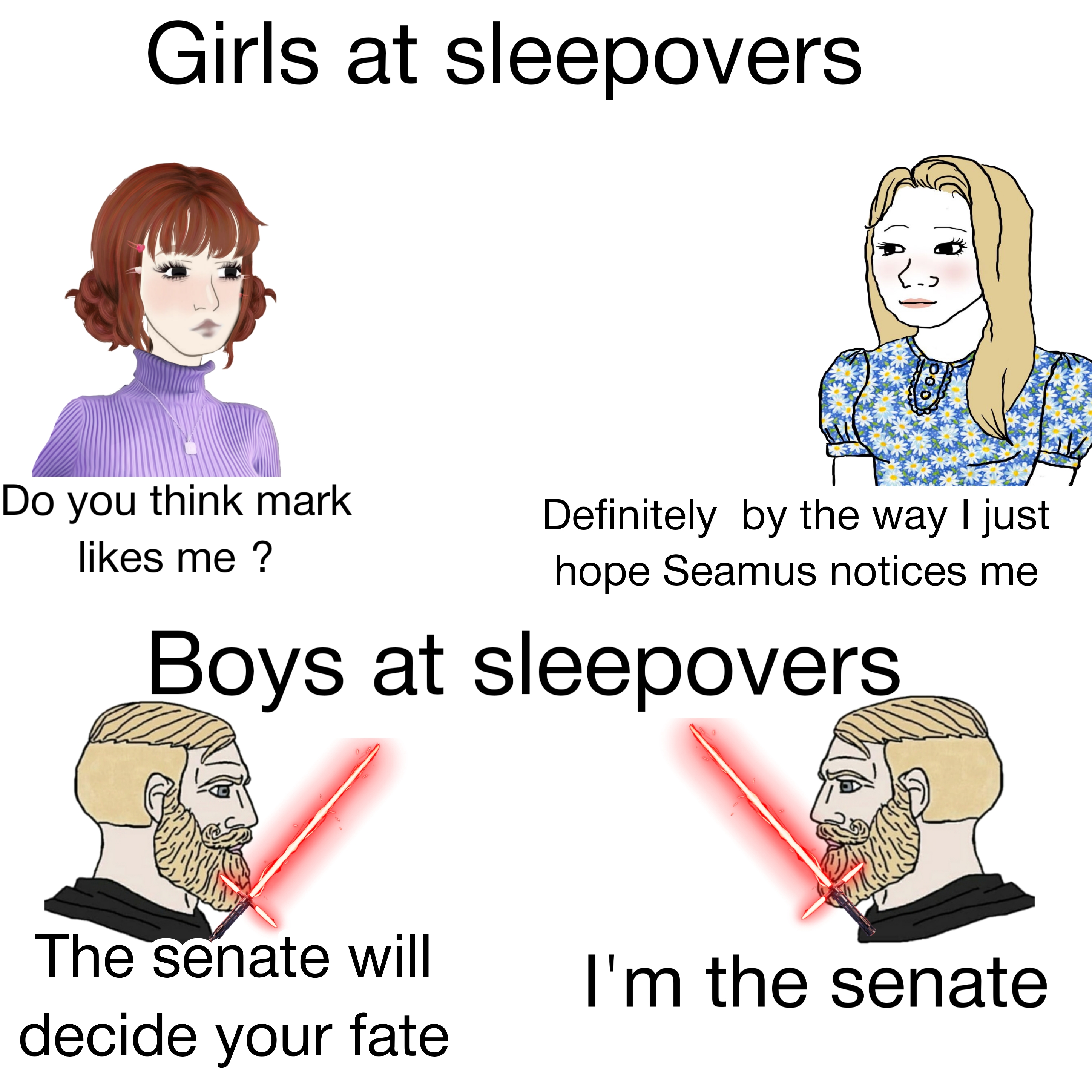 funny memes - dank memes - cartoon - Girls at sleepovers Do you think mark me ? Definitely by the way I just hope Seamus notices me Boys at sleepovers The senate will decide your fate I'm the senate