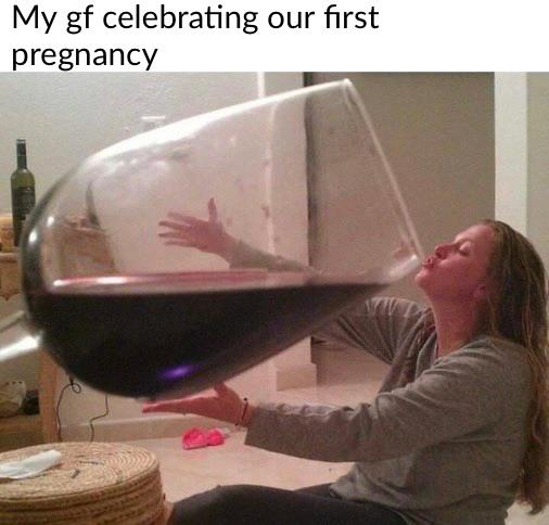 funny memes - dank memes - drinking wine meme - My gf celebrating our first pregnancy