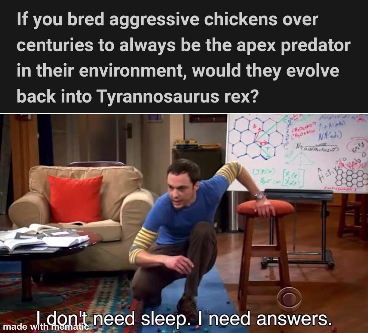 funny memes - dank memes - don t need sleep i need answers meme template - If you bred aggressive chickens over centuries to always be the apex predator in their environment, would they evolve back into Tyrannosaurus rex? W.. Chor Mats Nad Me rastin V x2 