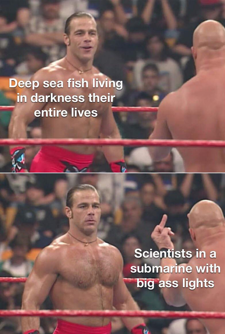 funny memes - dank memes - latinx meme - Deep sea fish living in darkness their entire lives Scientists in a submarine with big ass lights
