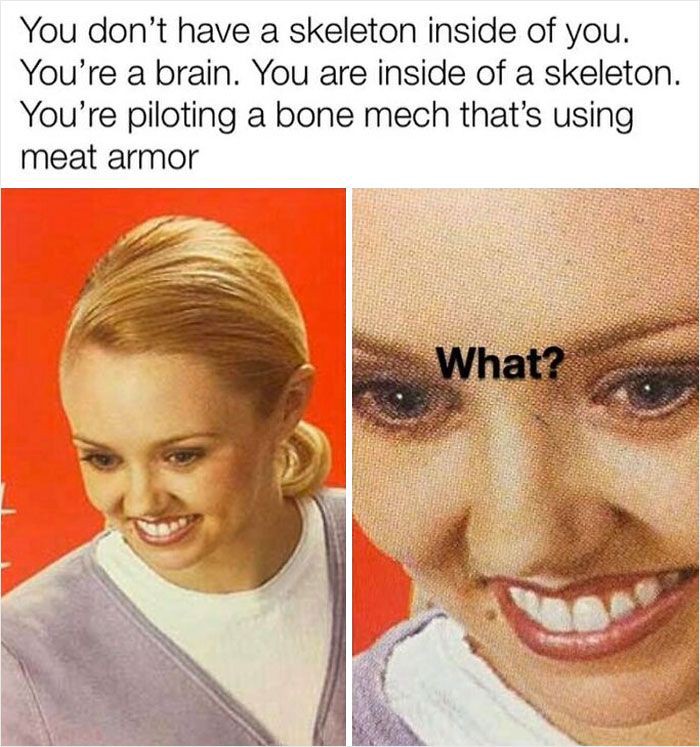 dank memes - brain piloting a bone mech - You don't have a skeleton inside of you. You're a brain. You are inside of a skeleton. You're piloting a bone mech that's using meat armor What?