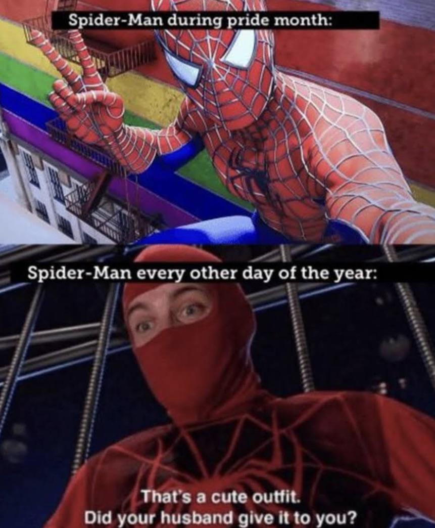 dank memes - thats a cute outfit did your husband give it to you - SpiderMan during pride month SpiderMan every other day of the year That's a cute outfit. Did your husband give it to you?