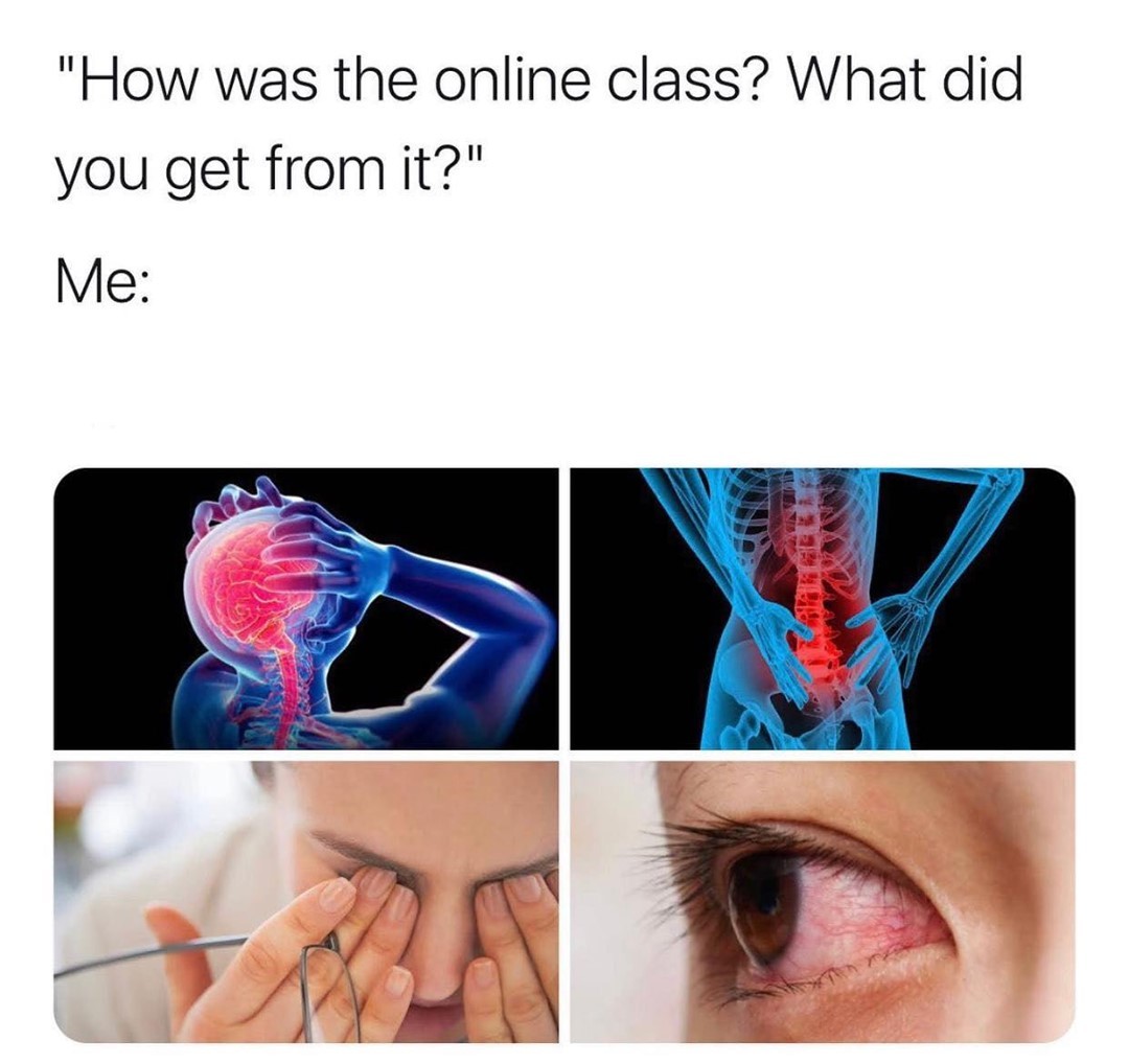 dank memes - online class meme - "How was the online class? What did you get from it?" Me Totale