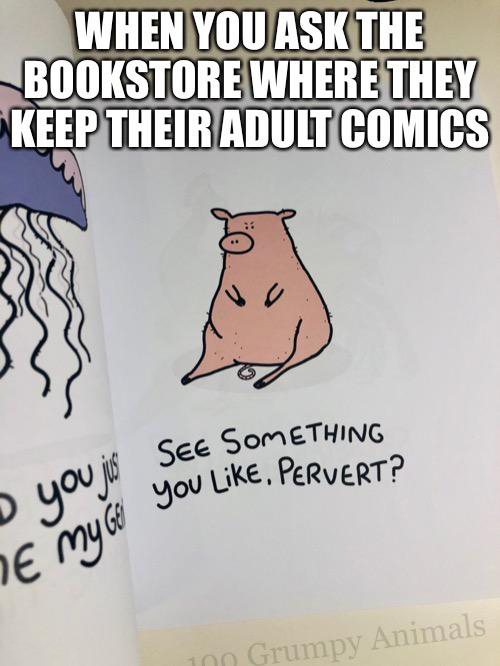 dank memes - cartoon - When You Ask The Bookstore Where They Keep Their Adult Comics See Something you . Pervert? D youjio E my G 100 Grumpy Animals