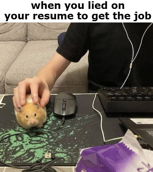 dank memes - when you lied on your resume to get the job 2