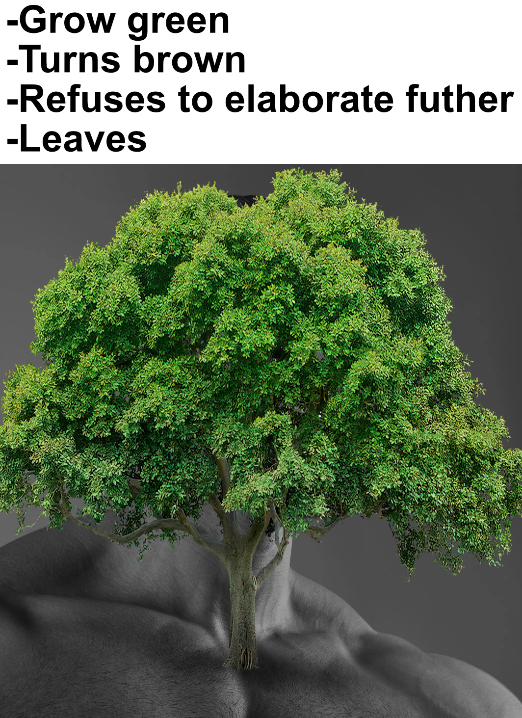 dank memes - tree - Grow green Turns brown Refuses to elaborate futher Leaves