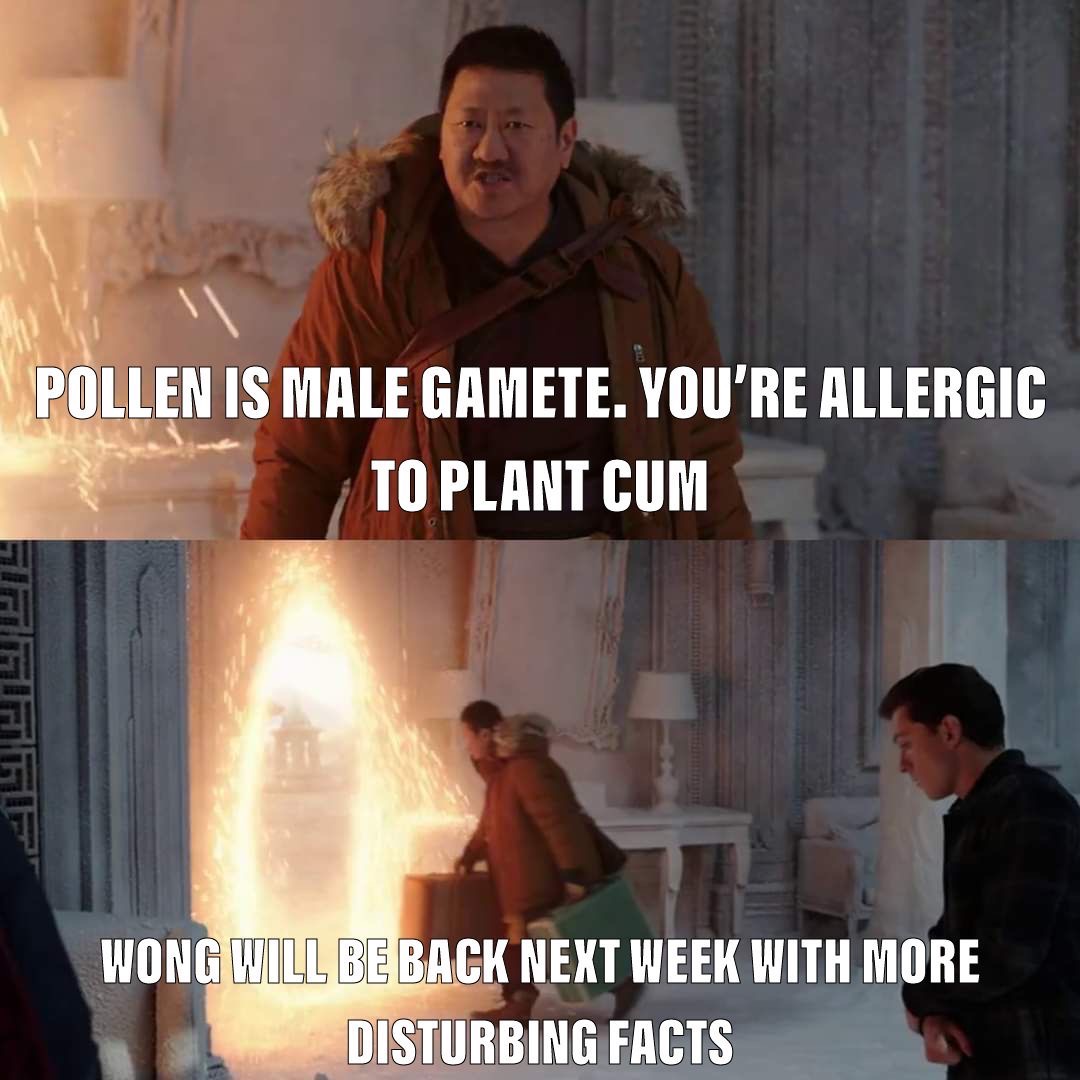 dank memes - wong disturbing facts - Pollen Is Male Gamete. You'Re Allergic To Plant Cum Wong Will Be Back Next Week With More Disturbing Facts