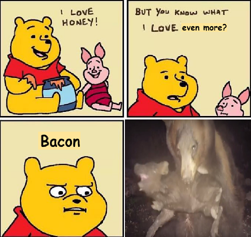 dank memes - funny memes - franz joseph meme - I Love Honey! But You Know What I Love even more? Bacon
