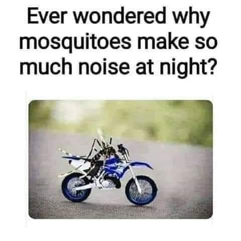 dank memes - funny memes - ever wondered why mosquitoes - Ever wondered why mosquitoes make so much noise at night?