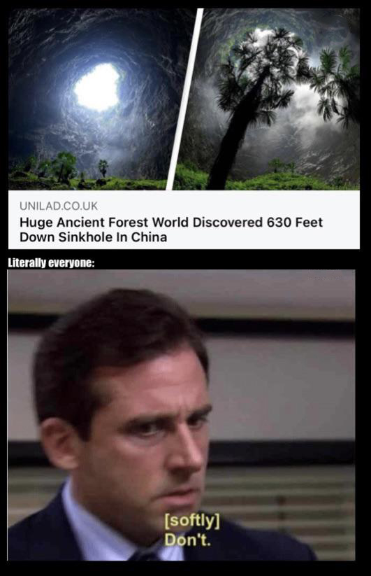 dank memes - funny memes - office don t meme - Unilad.Co.Uk Huge Ancient Forest World Discovered 630 Feet Down Sinkhole In China Literally everyone softly Don't.
