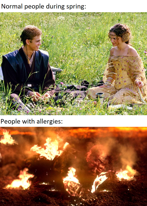 dank memes - anakin mustafar - Normal people during spring People with allergies