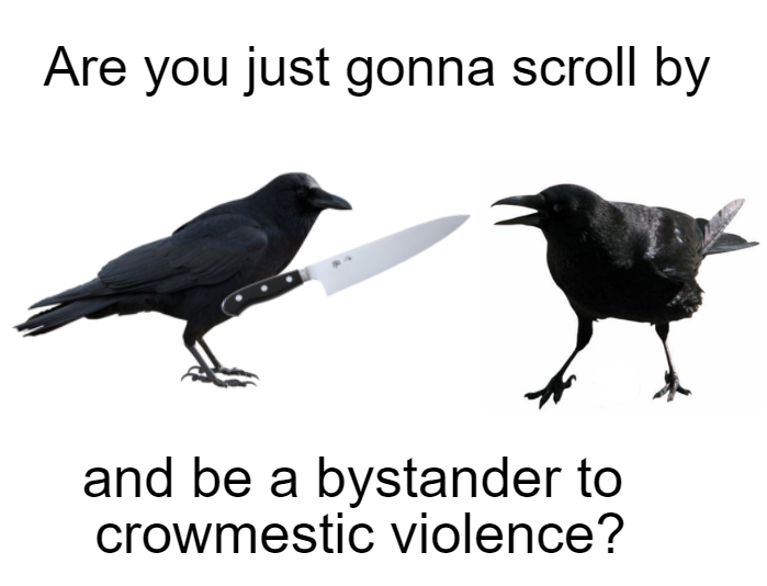 monday morning randomness - american crow - Are you just gonna scroll by and be a bystander to crowmestic violence?
