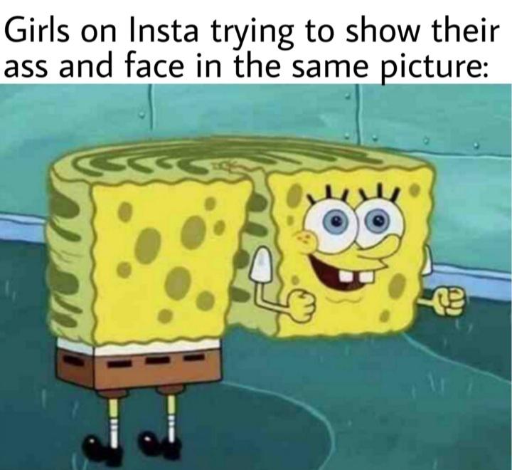 monday morning randomness - girls trying to show ass and face meme - Girls on Insta trying to show their ass and face in the same picture