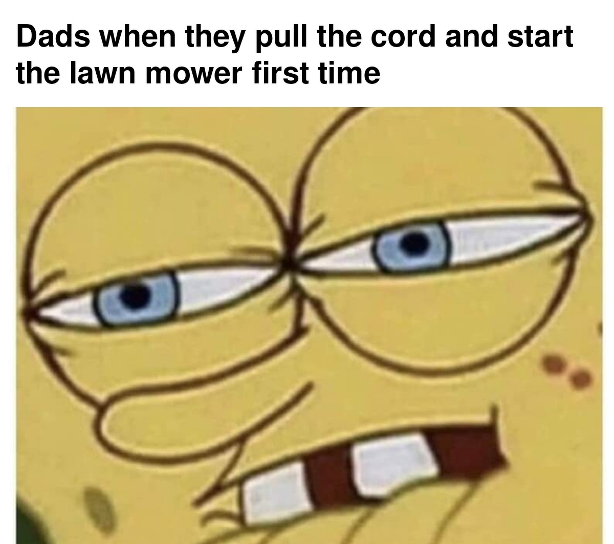 monday morning randomness - you push the vacuum cleaner meme - Dads when they pull the cord and start the lawn mower first time