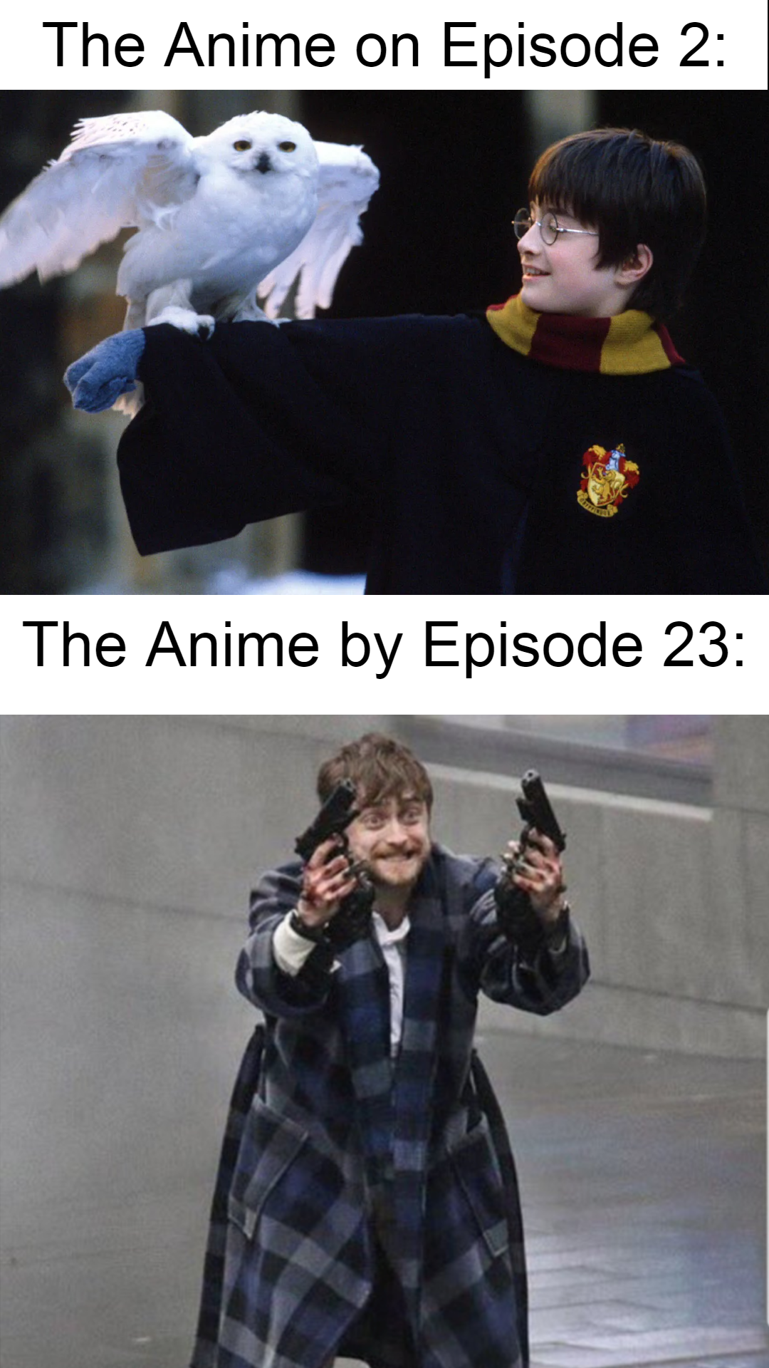 dank memes - harry potter and the sorcerer's - The Anime on Episode 2 The Anime by Episode 23