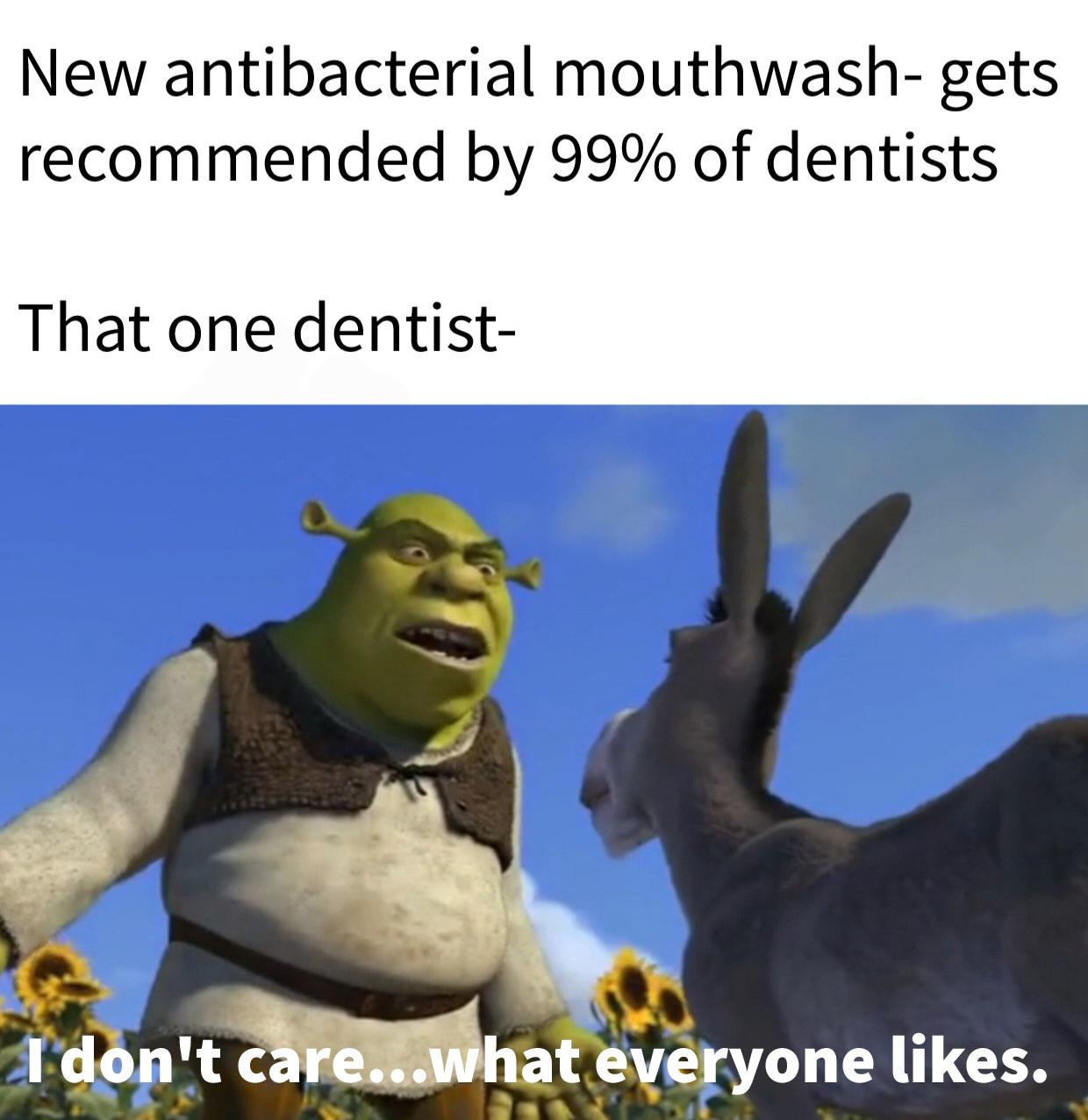 dank memes - everyone like shrek - New antibacterial mouthwash gets recommended by 99% of dentists That one dentist I don't care...what everyone .